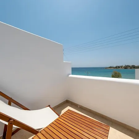 Hh Summer 로갈라스